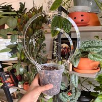 Transparent Acrylic Plant Bracket Round Shape Weather-resistant Plant Trellis Sturdy Plants Growth Stand Succulents