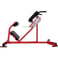 Back Extension Machine Commercial Gym Equipment Fitness Back Extension Bench Back Extension Bench Machine