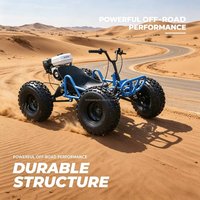 Adult Off-Road Go Kart 4-Stroke 212cc Gas Engine Chain Drive 180kg Load Drift Beach High-Speed Buggy for Outdoor Adventure