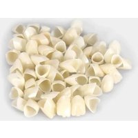 Denture Temporary Crown (Front Teeth about 60Pcs)(Back Teeth about 90Pcs)Oral Care Porcelain Veneers and Dental Patches