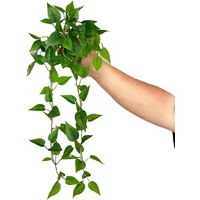 Artificial Mini Real Touch Melon Leaves Green Plants Vines Simulation Leucodictyon Leaf Plant Vine Garden Decoration Floral