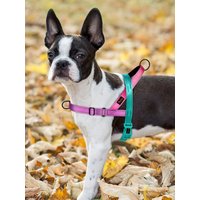 Reflective Nylon Dog Harness Adjustable No Pull Pet Vest Harness Quick Control French Bulldog Chihuahua Harness Vest Perro