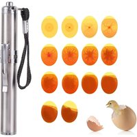 Livestock Incubator Light Inspection Stainless Steel Cold Light Flashlight LED Egg Detector Hatching Equipment Chicken Tools
