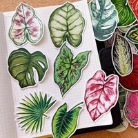 50pcs cute plant leaf handbook sticker material small fresh handbook stickers children's photo album growth record decoration