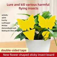 Fruit fly traps, indoor and outdoor fungal traps, yellow fruit fly sticky traps, plant flying insect sticky traps