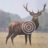 3 6 Pcs Deer Target 40x40cm Highly Visible Shooting Targets, Realistic Deer Target for Archery, Non-Reactive Animal Paper Target