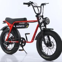 Super 73 Ebike Electric Tricycles Cheap Electric Bicycle Electric Dirt Bikes Fast Response of the Vehicle Body 750W for Sale