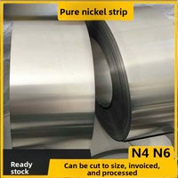 High Purity Nickel Foil Nickel Strip Electroplated Anode N4 N6 Ni99.9% Custom Size