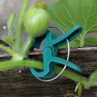 20Pcs Plastic Plant Fixing Clips, Multifunctional Garden Clips for Phalaenopsis Tomato Plant, Gardening Accessories