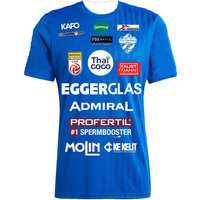 AliExpress NONE 2026 TSV Hartberg Team Uniform Austrian League Fan Edition Short Sleeved Breathable Quick Drying Sports T-Shirt