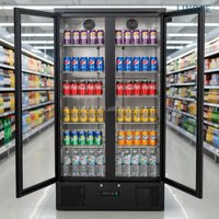 custom.Supermarket Single Temperature Commercial Display Refrigerator Double Glass Door Large Capacity Refrigerator Beer Beverag