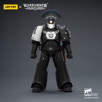 【Accessories】JOYTOY Warhammer 1/18 Action Figure Raven Guard MkVI Tactical Sergeant with Power Sword, Bolter and Plasma Pistol