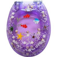 Toilet Lid Household Universal Thickened Double Layer Toilet Seat Cover Resin Buffered Slow Close Silent Toilet Cover