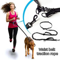Outdoor Pet Dual Elastic Traction Rope Reflective Running at Night Stretchable Hands-free Dog Dual Handle Elastic Rope