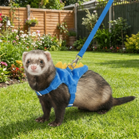 Adjustable Ferret Vest Harness Dinosaur Shape with Bell Hamster Chest Strap Comfortable Escape-Proof Pet Traction Rope Outdoor