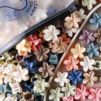 10pcs Fashion Morandi Color Egg Flower Mini Hairclip Sweet Mixed Flower Frosted Hairclip Girls Children Braided Hair Accessory