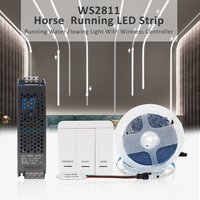 WS2811 2835SMD 24V DC bande LED d'eau courante lumière qui coule contrôleur sans fil ruban de lampe Flexible 120Led/M IP30 10M 15M Kit