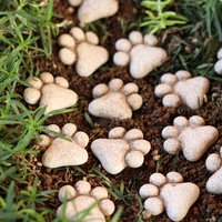 20Pcs Cat Paw Shaped Resin Garden Stepping Stones Outdoor Decorative Stones for Yard Bonsai Landscape Display