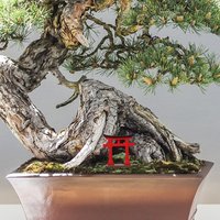 Miniature Japanese Torii Gate Resin Decor for Garden Micro Landscape Bonsai Aquarium Fish Tank Home Office Desk Decor Mini Torii