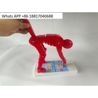 Human body bending, weightlifting, spinal stress demonstration model, fitness weight, correct posture demonstration,