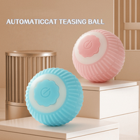 Pet Cat Toys Intelligent Rolling Ball Soothing Ball Artifact Teasing Cat Toys Dust Free Pet Supplies