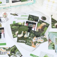 50 Sheets of Four Seasons Landscape Sticker Set, Vivid Seasonal Scenes for Journal Decoration and Scrapbooking