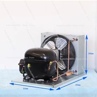 DFE12S Compressor Condenser Unit Small Commercial Refrigerator Cooling Unit Home Freezer Water Dispenser Part