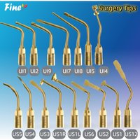 1PC Dental Piezosurgery Tip Ultrasonic Bone Cutting Sinus Lifting Implant Exelcymosis Dental Surgery Tips Fit Mectron Woodpecker