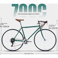 AliExpress OVOZI 700C Bike Male Adult Female Light Variable Speed Retro Commute To Work Old School City Bike Biciclette Rennrad Carbon