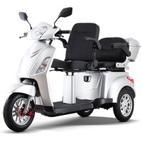 Vista-L1 EEC Modern Electric Tricycle Scooter Electric Adult Electric Scooter Para Adulto Two Seats