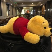 Flauschige große Plüschtiere 55cm Winnie Puuh Kissen Riesiger Plüschbär Niedliche Zimmerdekoration Kuschelkissen für Dekoration Ostergeschenk