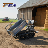 Crawler Mini Dumper 500kg EURO 5 EPA Fast Delivery High Quality Mini Dumper Factory Customize Supply