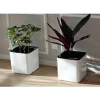 White Self Watering Planter, Water Indicator, Modern Decorative Planter Pot for all House Plants Flowers, Herbs, Vegetables