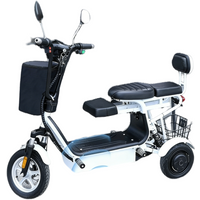 1000W 48V Dual Motor Electric Tricycle Mini With Dual Seat Folding Electric Scooter Mini For Woman Elderly 3 Wheels