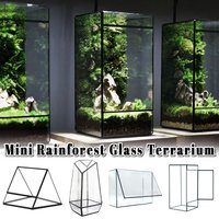Geometric Glass Terrarium Vase, Rectangular Planter with Window, Succulent DIY Glass House, Miniature Landscape Vase Home Decor