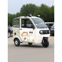 AliExpress 240V CE 3C Electric Dirt Bike - Adult Off-Road Motorcycle with High Torque Motor