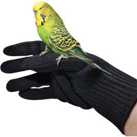 Bird Gloves Anti-Bite Parrot Training Chewing Protective Gloves Perfect for Birds Gripping Trimming Nails Feeding B03E