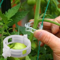 Plant Clips Supports Reusable Plastic Connects Fixing Vine Tomato Stem Grafting Vegetable Plants Orchard and Garden Tools 100PCS