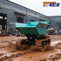 Maßgefertigter Mini-Raupenkipper 500kg Hohe Qualität EUROS 5 EPA-Zertifiziert Schnelle Lieferung Fabrik-Großhandelspreis zum Verkauf