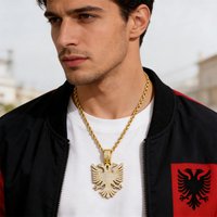 Hip hop Trend Albanian Eagle Pendant Gold Plated Silver Full Zirconia Necklace Men's and Women's Personalized Accessories