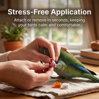 100Pcs Pigeon Foot Ring Feeding Supplies Bird Breeding Identity Recognition Snap-Fit Foot Ring NO.001-100 Identification Tools