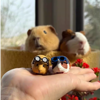 Guinea Pig With Sunglasses Blind Box Cute Mini Anime Action Figure Model Toys Kawai Desktop Decoration Collectible Gift