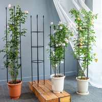 Stackable Garden Trellis Infinitely Spliceable Climbing Plants Plant Support Trellis Climbing Flowers Vegetable