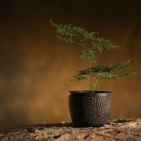 Ceramic Clay Cloud Carved Bonsai Pot, Table Vase, Garden, Home Decoration, Chinese Style