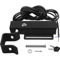 Swing Gate Opener motor 12V 24VDC electric Lock Bolt Latch for Wooden Gates Anti-theft Garden Security Lock with Key