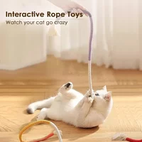 Interactive Cat Toys Bite Resistance Cotton Rope Fruit Catnip Toy Kitten Molar Bite Rope Toys Cats Teaser Stick Toy