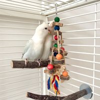 Parrot Bite Toys Wooden Natural Medium To Large Parrot Supplies Bird Cage Accessories Bird Toys Parrot Parrot Chew Toys Product