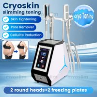 Portable Pro Cryolipolysis Fat Freezing Slimming Machine For Body ContouringCooling Weight Loss Device For Salon Use