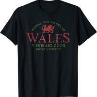 New Limited Rugby Welsh Red Dragon Flag Of Wales T Shirt