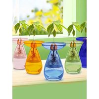 Colorful Transparent Avocado Hydroponic Vase, Glass Seed Starter Kit for Plant Growing